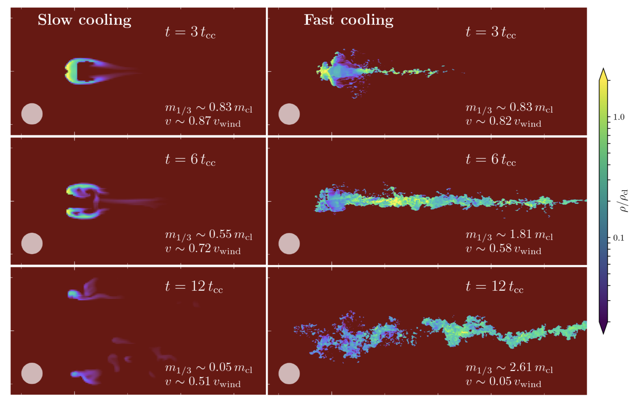 Cold Gas Survival in Galactic Winds