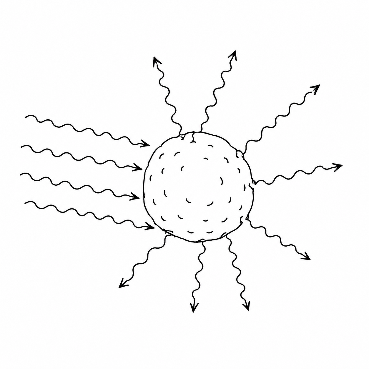 Radiation Pressure–Driven Acceleration and Survival of Cold Gas