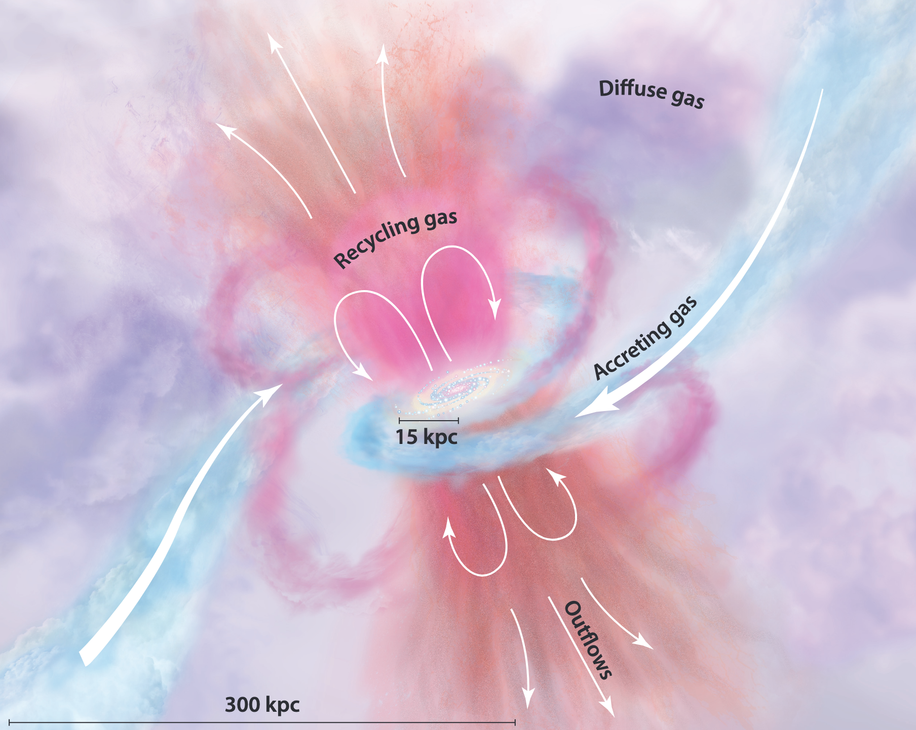 Stability of Cold Streams in the Circumgalactic Medium